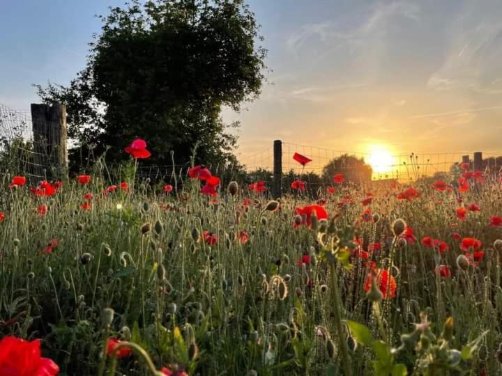 De Lokroep Heers Dış mekan fotoğraf