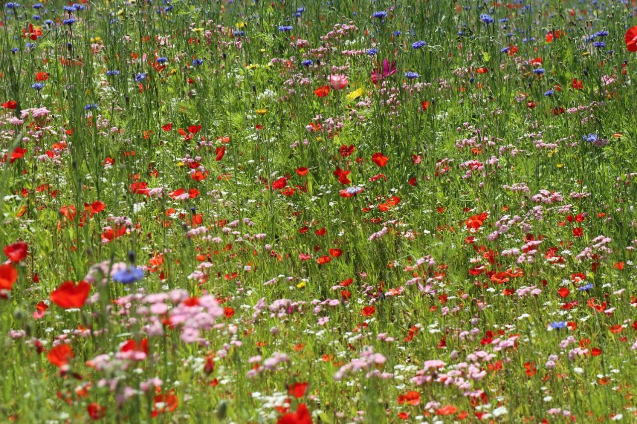 De Lokroep Heers Dış mekan fotoğraf